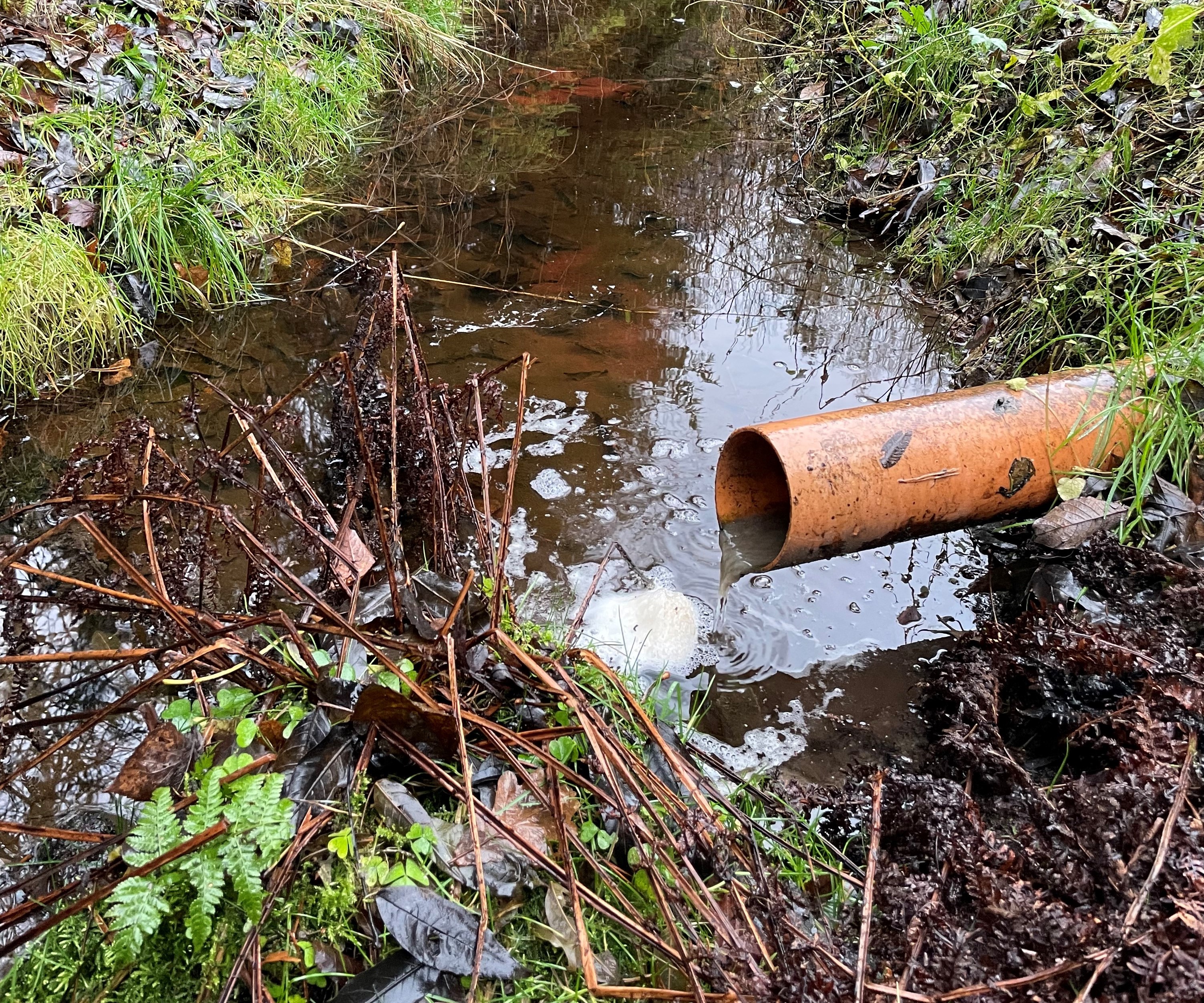 Sandefjord kommune Sanitæravdeling