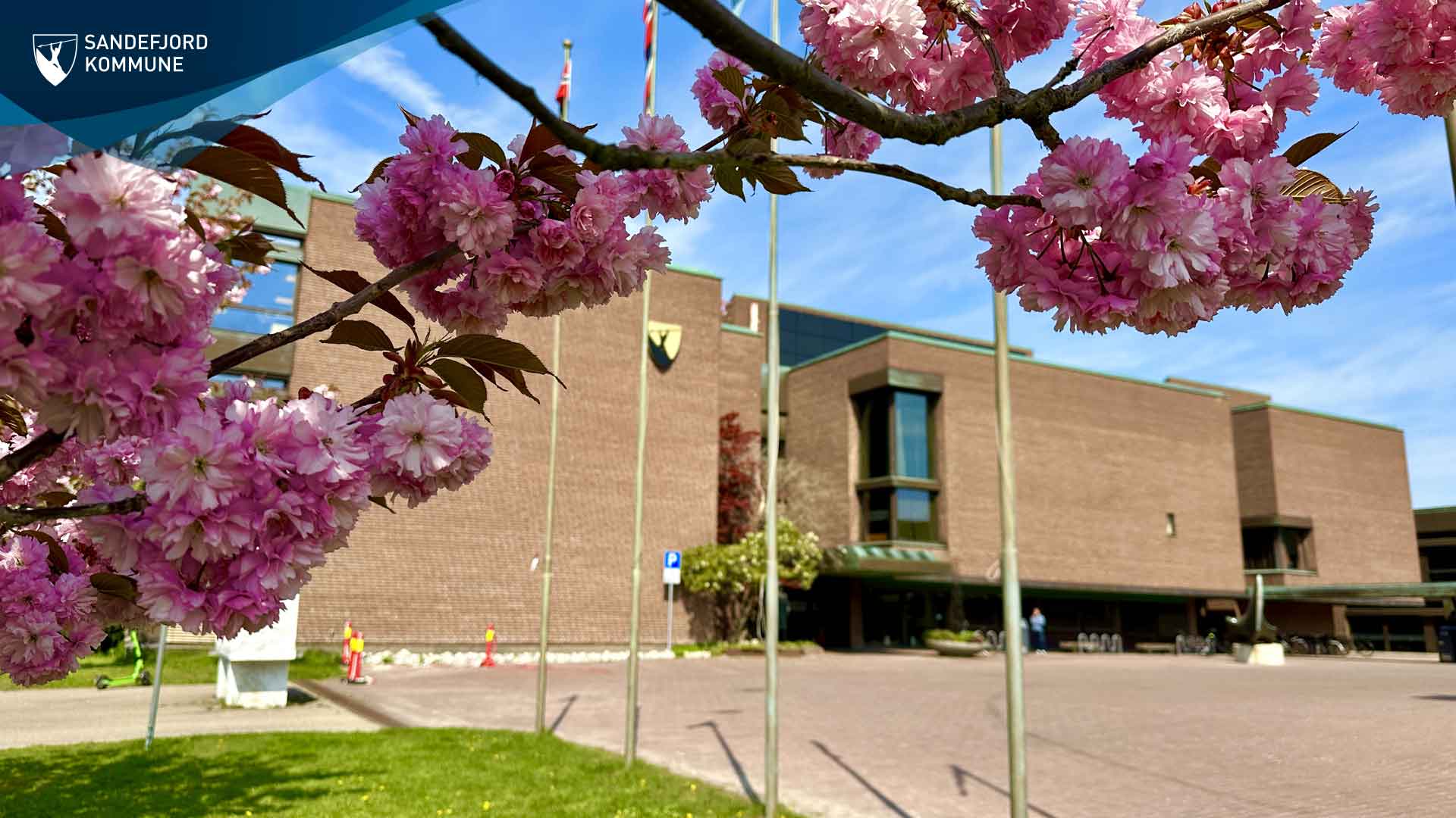 Sandefjord kommune Administrasjon MP