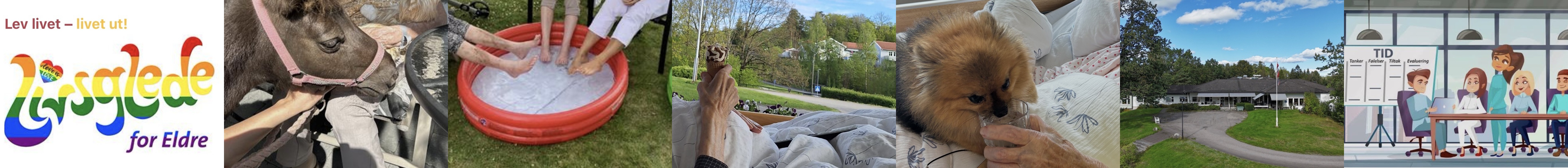 Sandefjord kommune Tusenfryd