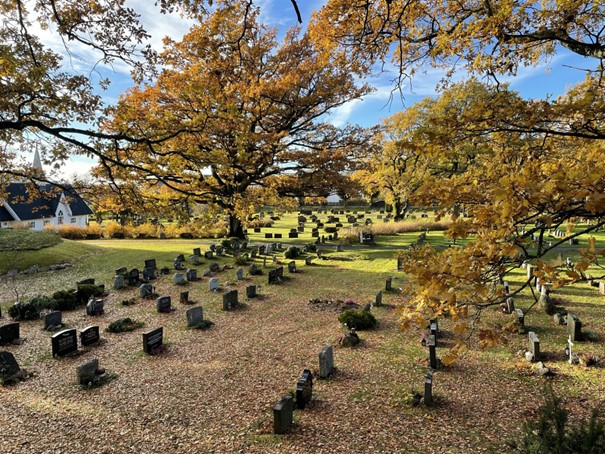 Sandefjord kommune Park, idrett og friluftsliv
